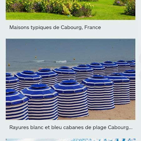 Appartement Le Charme De Cabourg Extérieur photo
